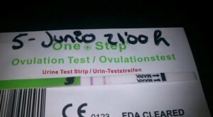 Protegido: Descargas del foro