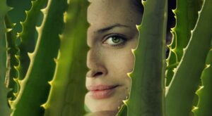 El árbol de la vida: dónde encontrarlo y cómo nos ayuda a combatir el envejecimiento