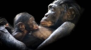 Amor de madre: 16 adorables pequeños junto a sus mamás