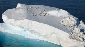 ¡Sorprendente! Existe un hotel de lujo en la Antártida​