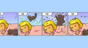 20 Cómics que reflejan cómo cambia nuestra vida al tener un gato