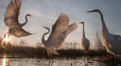 Paisajes bonitos: los 30 lugares más increíbles del mundo