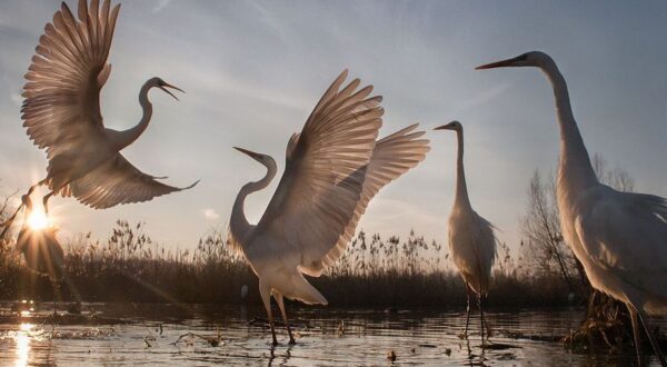 Paisajes bonitos: los 30 lugares más increíbles del mundo