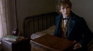 10 fases que siempre tienen lugar en una mudanza