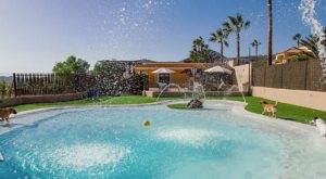 ¿Alojarías a tu mascota en este resort de lujo?