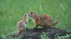 14 impresionantes fotografías que aunque parezca increíble fueron hechas por niños