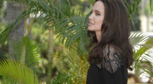 La última de Angelina Jolie: despedir a su propio hermano