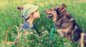 10 razones por las que tu hijo debería crecer con una mascota