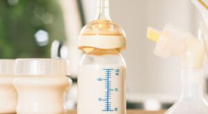 El sacaleches: las claves para aprender a usarlo bien