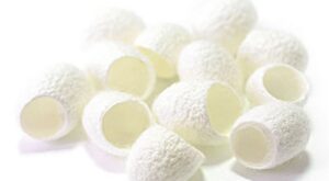 Las bolitas de seda que eliminarán tus puntos negros para siempre