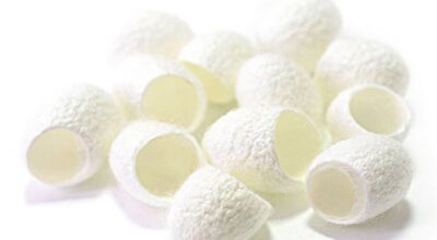 Las bolitas de seda que eliminarán tus puntos negros para siempre