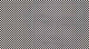 ¿Eres capaz de ver lo que se esconde detrás de esta imagen?