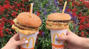 La pajitamburguesa o cómo reinventaron el fast food en Japón