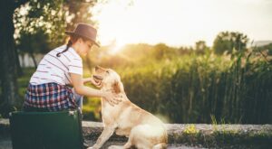¡No sin mi mascota! 7 destinos clave para viajar con animales