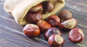 La castaña, el sabor inconfundible del otoño