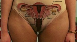 Tipos de vaginas: aunque no lo creas, hay más de una