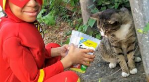 Este niño se viste de superhéroe y salva a los gatos callejeros