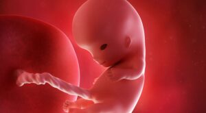 10a semana: tercer mes de embarazo