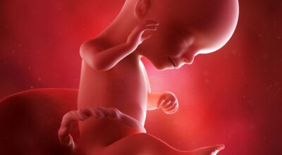 16a semana: cuarto mes de embarazo