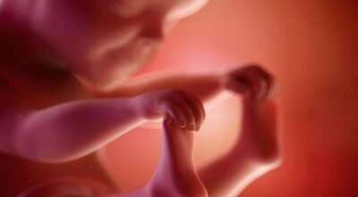 25a semana: sexto mes de embarazo