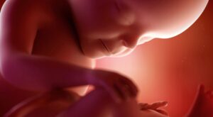 27a semana: séptimo mes de embarazo