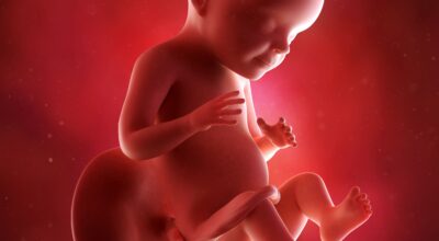 28a semana: séptimo mes de embarazo