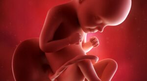 29a semana: séptimo mes de embarazo