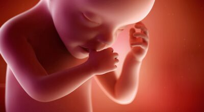 30a semana: séptimo mes de embarazo