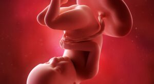 32a semana: octavo mes de embarazo