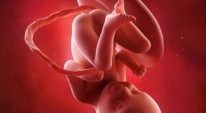 33a semana: octavo mes de embarazo