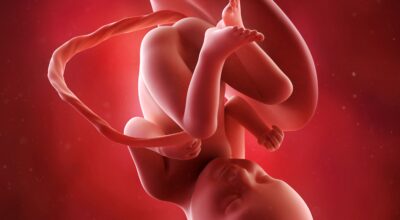 33a semana: octavo mes de embarazo