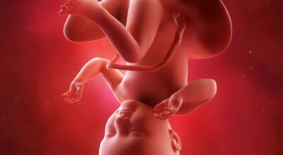 34a semana: octavo mes de embarazo