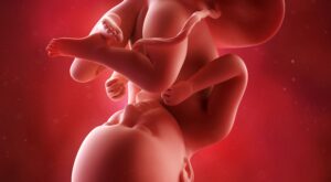 35a semana: noveno mes de embarazo