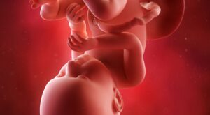 37a semana: noveno mes de embarazo