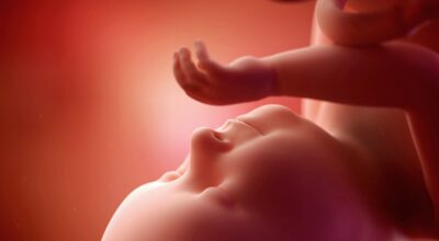 38a semana: noveno mes de embarazo