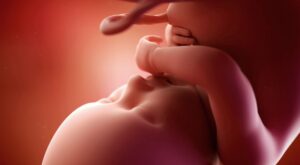 39a semana: noveno mes de embarazo