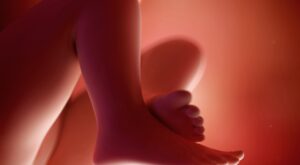 19a semana: quinto mes de embarazo