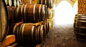 ¿Fan del tequila? Este hotel de barricas de México es para ti