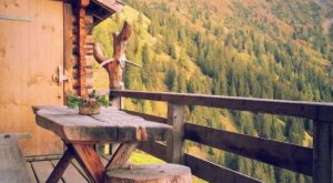 Decoración de terraza, balcones y patios: ¡listos para lucirse!