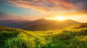 La importancia de dar una segunda vida a los residuos