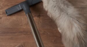 Las mejores aspiradoras y accesorios para el pelo de tus mascotas