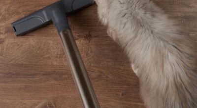 Las mejores aspiradoras y accesorios para el pelo de tus mascotas