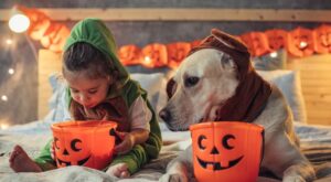 Los mejores disfraces de Halloween para los más peques ¡cómpralos aquí!