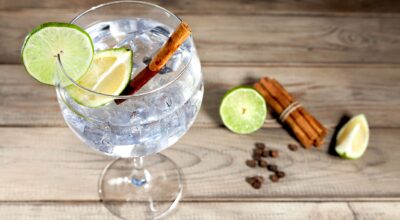 Las ginebras más top para gin-tonics de 10