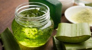 ¿Comer aloe vera? Los beneficios del nuevo superalimento de moda