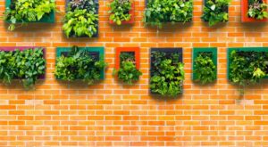 Crea tu jardín vertical en casa, esto es todo lo que necesitas