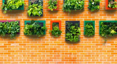 Crea tu jardín vertical en casa, esto es todo lo que necesitas