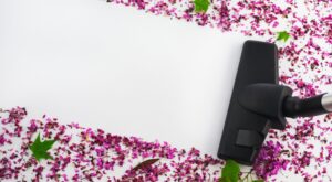 Ofertas de primavera en Amazon: tus imprescindibles de cocina