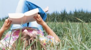 2013: El año de la novela erótica