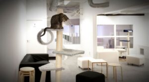 La Gatoteca celebra la Navidad junto a los más pequeños